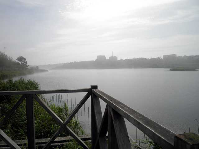 春採公園（春採湖）