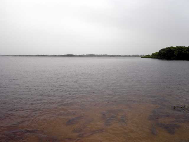 ウトナイ湖（道の駅ウトナイ湖）