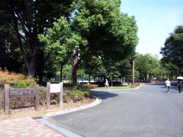 木場公園