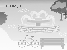 写真はありません